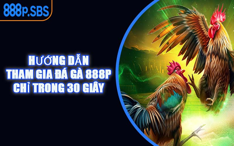 Hướng Dẫn Tham Gia Đá Gà 888P Chỉ Trong 30 Giây