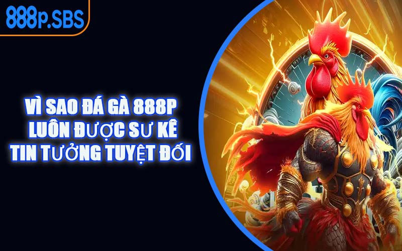 Vì Sao Đá Gà 888P Luôn Được Sư Kê Tin Tưởng Tuyệt Đối